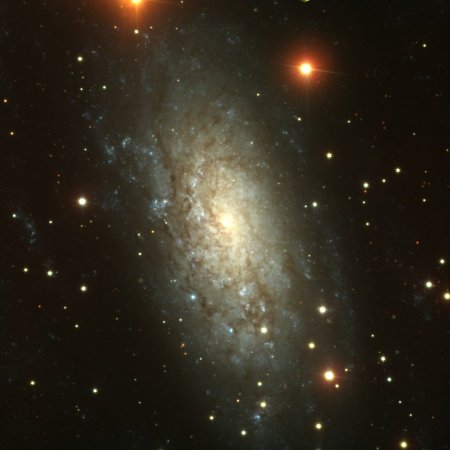 NGC 3621:     
